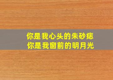 你是我心头的朱砂痣 你是我窗前的明月光